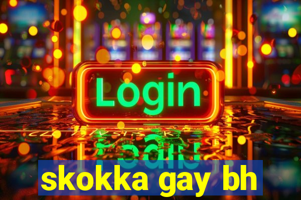 skokka gay bh